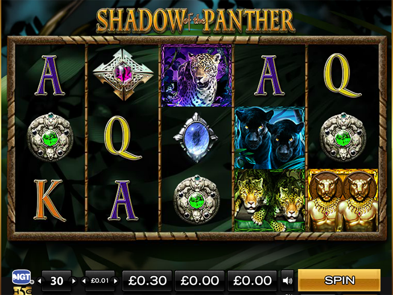 Shadow Of The Panther Video Slot