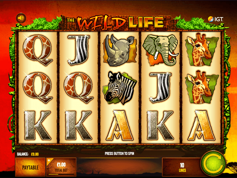 Wild patagonia slot machine reviews