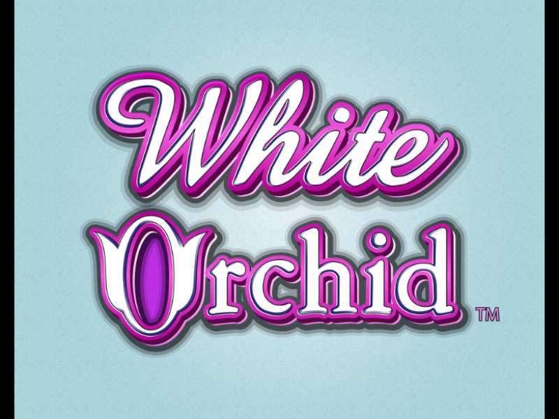 White Orchid Slot