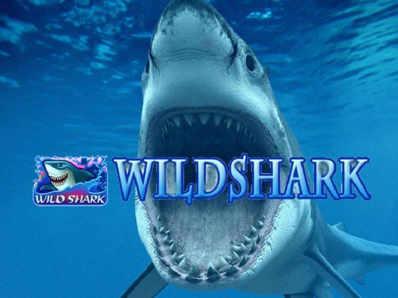 Wild Shark Games