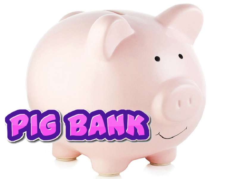126567 CANTERBURY BULLDOGS NRL TEAM LOGO PIGGY BANK MONEY BOX WITH COIN SLOT 